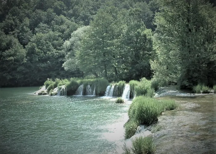 Panta Rhei 펜션 Kovacic